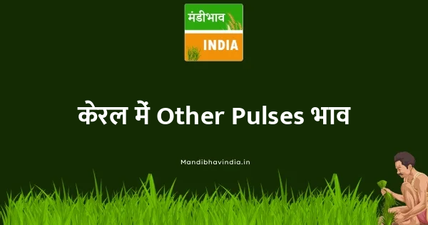 Other Pulses भाव